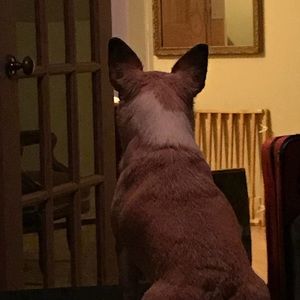 Trade goodies for Helen